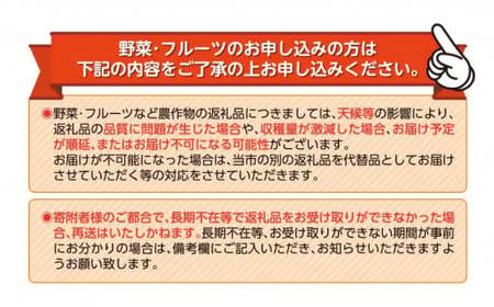 【早期予約10月発送】 ゆら 早生 みかん 約 5kg 【 はら みかん 農園 】 柑橘 オレンジ 沼津 静岡 フルーツ 直送 