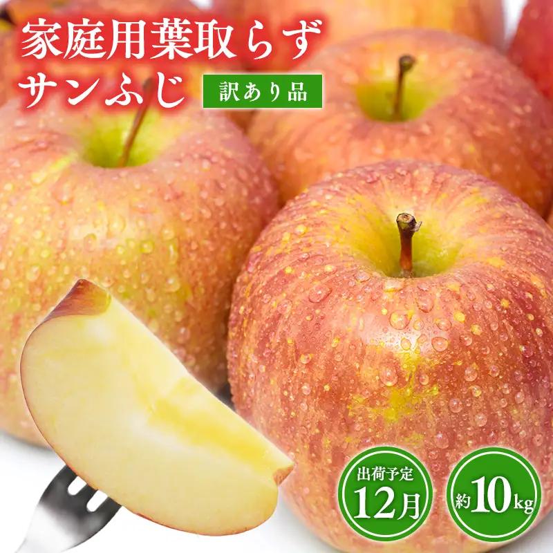 りんご 訳あり 葉とらず サンふじ 約10kg りんご りんご