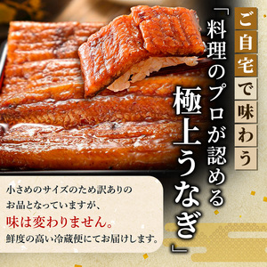 うなぎ 訳あり 不揃い 3度受賞 蒲焼き 2尾 国産 井口 うなぎ
