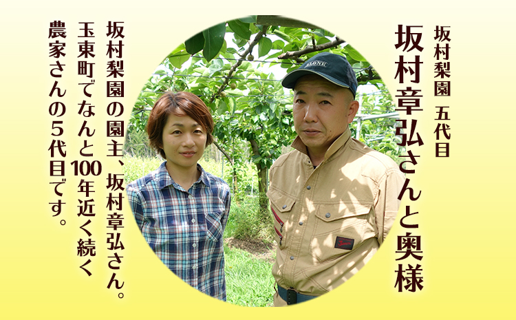 坂村梨園 玉東梨 熊本県玉名郡玉東町 約3kg(4〜10玉前後) 梨 なし 果物 旬の梨 《8月中旬-11月上旬頃出荷》