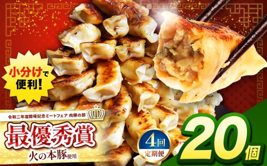 【 定期便4回 】火の本豚餃子 （20個×1パック）20個入 | 熊本県 熊本 くまもと 和水町 なごみ 豚肉 火の本豚 地域ブランド ギョウザ ぎょうざ 20個 1パック 冷凍餃子