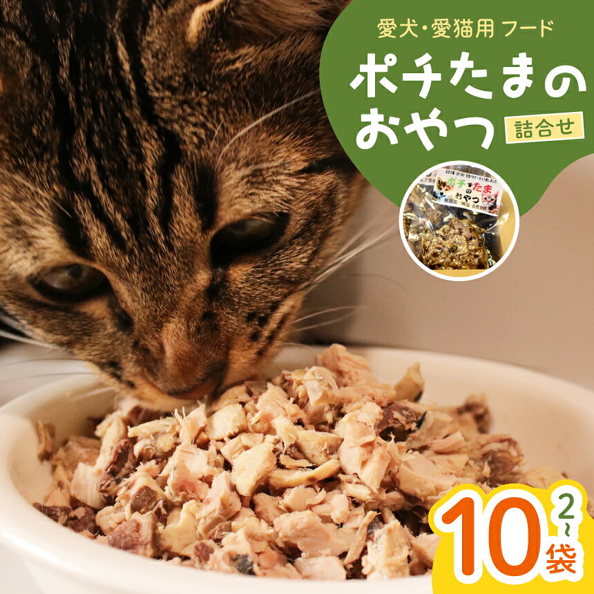 【ふるさと納税】犬 猫 おやつ 鰹 なまり節 無添加 味付けなし 60g 選べる2袋 5袋 10袋 ペット用 愛犬 愛猫 かつお ほぐし身 小分け 詰め合わせ 静岡県 西伊豆町 田子丸「ポチたまのおやつ」