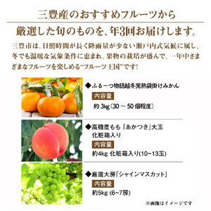 フルーツ王国みとよの特選こだわり3品定期便