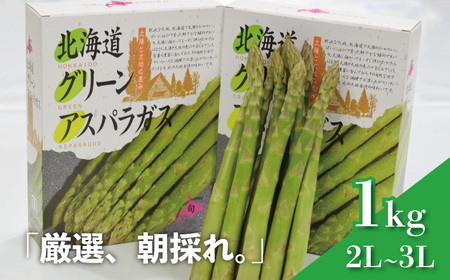 北海道産 春採り グリーン アスパラガス 1kg 2L～3Lサイズ おがファーム