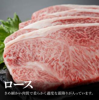 宮崎牛ロースステーキ600g　肉牛国産牛肉宮崎牛牛日本ハム牛BBQ牛ロースステーキ牛肉焼肉送料無料牛肉 [E11001]