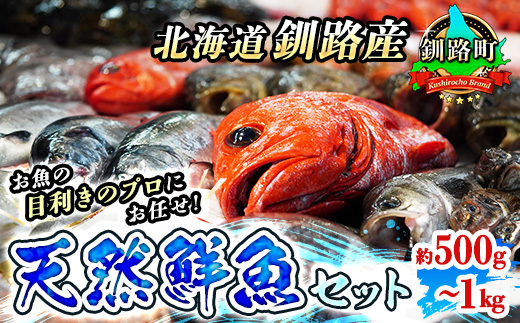 お魚の目利きのプロにお任せ！北海道産（国産） 天然 鮮魚 約500g～1kg（釧路の鮮魚セット）鮮魚 刺身 冷凍 セット 産地直送 スピード発送 北海道 釧路町 釧路超 特産品　121-1262-142-001