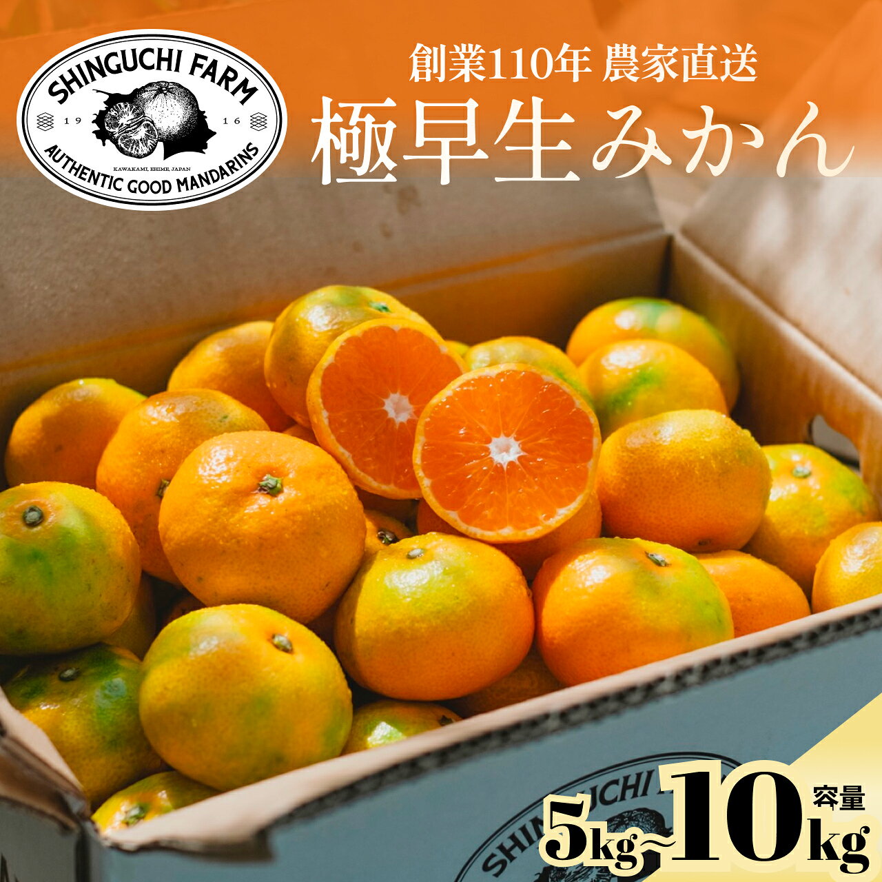 【ふるさと納税】【先行受付】五代目が厳選した【極早生みかん】愛媛県川上産　選べる容量 5kg/10kg 【新口農園】【A70-66】 ふるさと納税 みかん ミカン 極早生 果物 くだもの フルーツ おいしい かんきつ 柑橘 柑橘類 国産 愛媛 愛媛県 八幡浜市 【G1615054】YWTK065