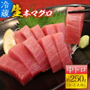 【ふるさと納税】【冷蔵・指定日着可】生本マグロ中トロ 約250g 2～3人前 / まぐろ 鮪 さく 柵どり 冷蔵 真空パック ヘルシー 国産 送料無料 [A-066005]