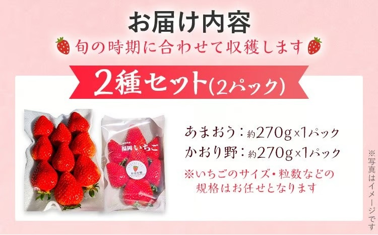 【2027年2月より順次発送】福岡いちご2種　食べ比べセット（あまおう＆かおり野）2026