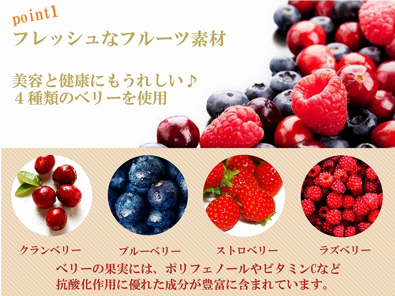 【エニシダ】クリスマスケーキ ４種のベリーチーズケーキ(キャンドル・Xmasプレート付)