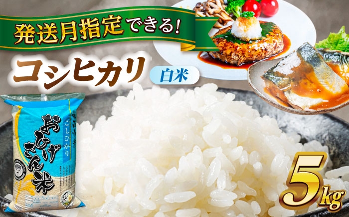 
            【選べる発送月】コシヒカリ 白米 5kg 愛西市 / 脇野コンバイン 米 お米 コメ [AECP021]
          