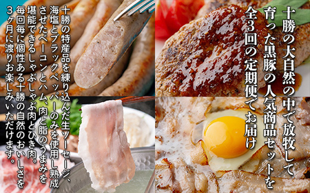 自然放牧圧巻の黒豚 人気商品3ヶ月定期便 【 北海道 ベーコン　ソーセージ 送料無料 】 SKN014