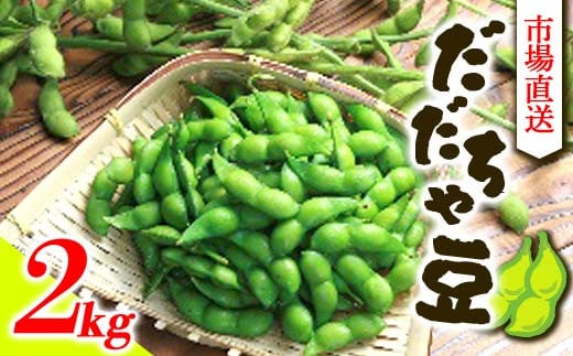 《先行予約 2025年度発送》市場直送『だだちゃ豆』2kg  豆類 豆 野菜 食品 山形県 FSY-0363