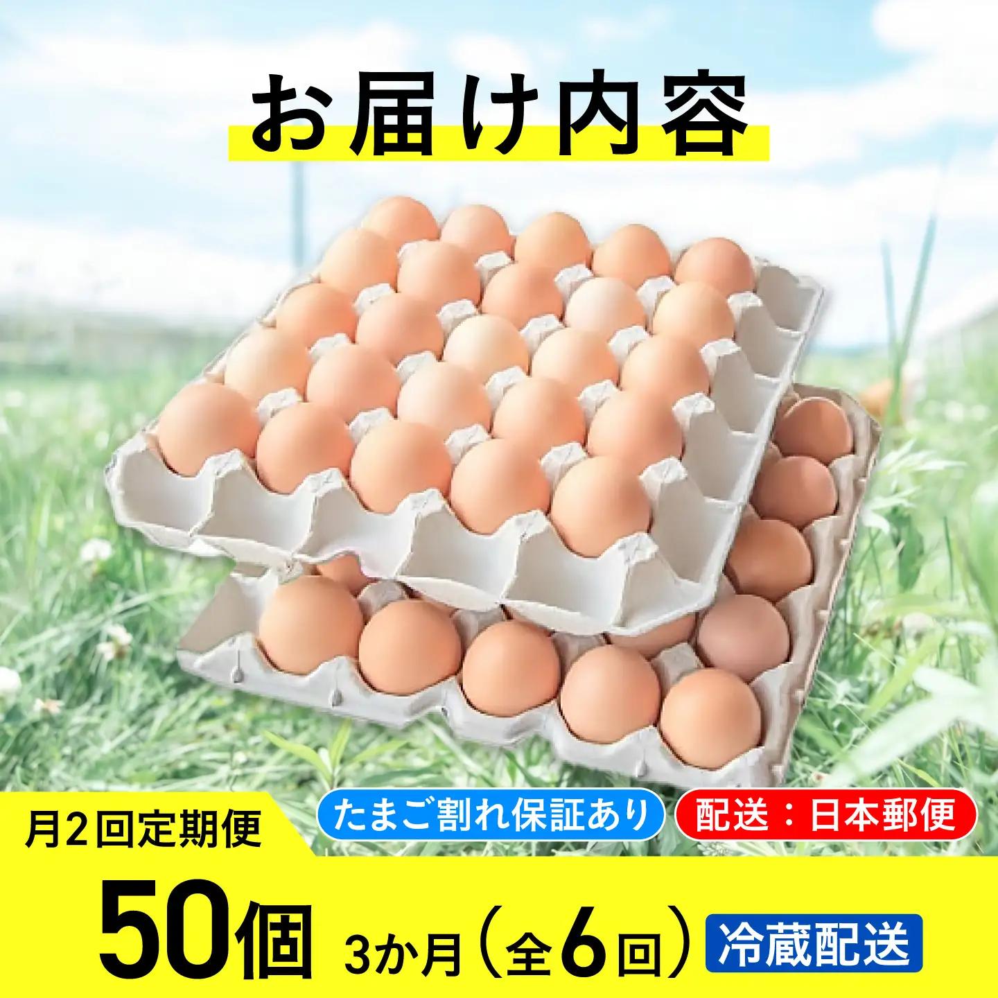 【月2回 3ヵ月定期便】平飼い有精卵 50個 計300個 冷蔵便 [AXAN021]