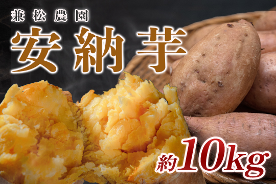 【高知県 大月町産】兼松農園　安納芋　10kg　さつまいも 高知県産 焼き芋 甘い 糖度高い 熟成 無農薬 産地直送 芋 旬の野菜 秋の味覚 野菜 高糖度 濃厚 甘い 国産 焼くだけ 簡単 スイーツ 美味しい 高知県大月町産 季節限定 期間限定