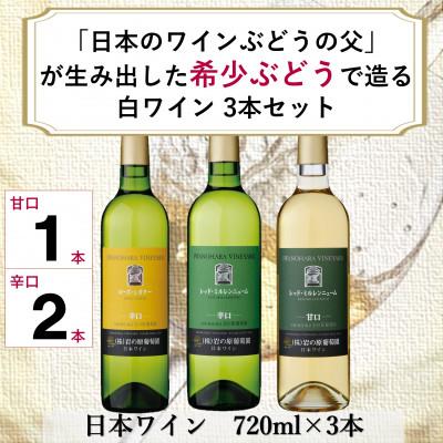 ふるさと納税 上越市 岩の原ワイン　「日本のワインぶどうの父」が生み出した希少ぶどう品種　白3本セット