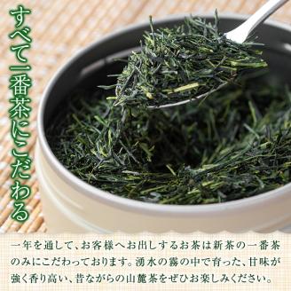 B05 上級煎茶「霧島山麓湧水茶」(5袋・1袋100g) 国産 九州産 鹿児島県産 やぶきた おくみどり さえみどり 茶さじ付き 茶葉 お茶 おちゃ 日本茶 一番茶 新茶 真空パック ギフト 贈答 プ