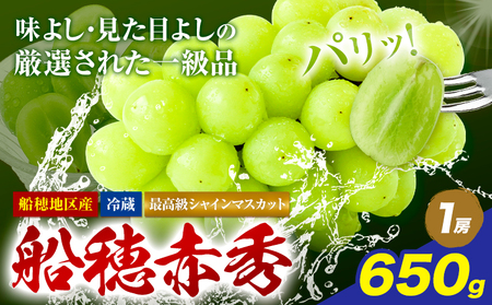【2025年先行予約受付】最高級 シャインマスカット ぶどう 船穂赤秀 1房 650g《9月上旬-11月中旬頃出荷(土日祝除く)》ハレノフルーツ マスカット 送料無料 岡山県 浅口市 フルーツ 果物 贈り物 ギフト 国産 岡山県産【配送不可地域あり】（北海道・沖縄・離島）