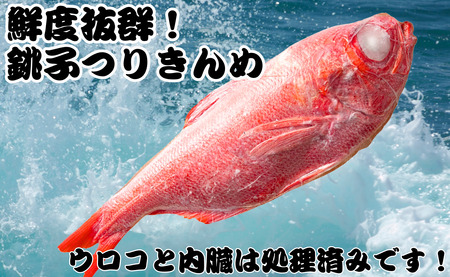 銚子釣り金目 大金太郎 約700g~900g 金目鯛 銚子 新鮮 銚子港水揚げ 瞬間冷凍 つりきんめ キンメ 釣り きんめ キンメダイ きんめだい おさしみ 刺し身 煮つけ 千葉県 銚子市