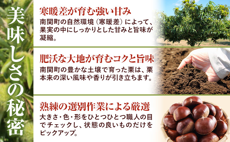 2026年産目利き厳選 やさい畑の美味しい栗 3kg 農家直送 厳選 生栗 冷蔵 送料 無料《9月下旬-10月上旬頃出荷》