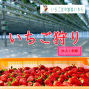 【ふるさと納税】【2025年4月中旬発送】いちご空中農園いわた　いちご狩り入園券【6700819】