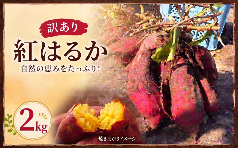 
                  産地直送 訳あり 紅はるか 2kg さつまいも 甘い ねっとり 焼き芋 スイートポテト 不揃い 規格外 無選別 野菜 おやつ お菓子 いしや～き芋 お芋 宮城県 岩沼産
                