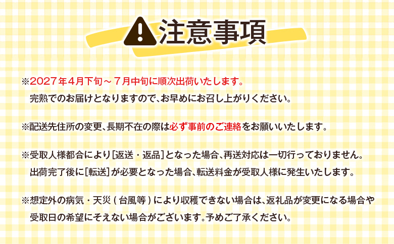 ＜数量限定＞宮崎県産 完熟マンゴー3L×2玉（計900g以上）※2027年4月下旬配送開始 化粧箱入 フルーツ くだもの【C356-27】