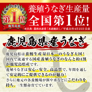 i853-B ＜定期便・計3回(隔月)＞鹿児島県産うなぎ蒲焼2尾セット＜(約140g×2・計約280g)×全3回＞【薩摩川内鰻】