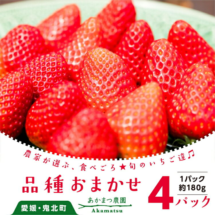 【ふるさと納税】【2027年春収穫分】【品種お任せ】 いちご4パック ｜ レッドパール 紅い雫 紅ほっぺ イチゴ 苺 フルーツ あかまつ農園 ※2027年2月～発送
