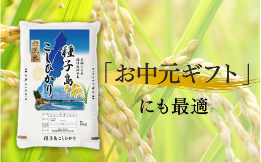 《令和8年産米 新米》種子島産コシヒカリ 5kg 無洗米 お米 こめ コメ 精米 白米 コシヒカリ こしひかり 食品 グルメ お取り寄せ おすそわけ 人気 おすすめ ギフト 南種子町 鹿児島 かごしま