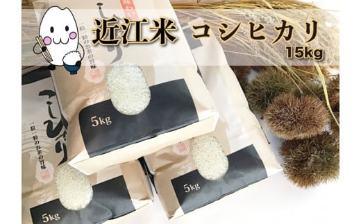 
            ◆実生庵の近江米【四季風流】精米5kg×3袋 滋賀県高島市産コシヒカリ 生産者直売100%
          