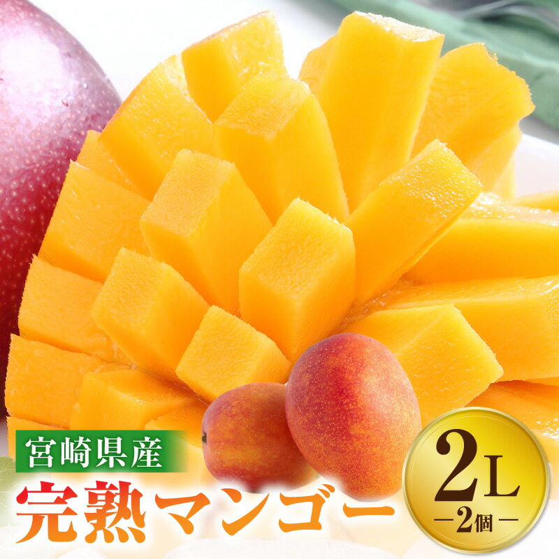 【ふるさと納税】《2025年発送》【期間・数量限定】宮崎特産品 宮崎県産完熟マンゴー 2L×2個 マンゴー 完熟マンゴー 完熟 果物 フルーツ デザート スイーツ 果肉 濃厚な甘み 南国フルーツ 特産品 名物 ご当地グルメ グルメ お取り寄せ 宮崎県 宮崎市 送料無料