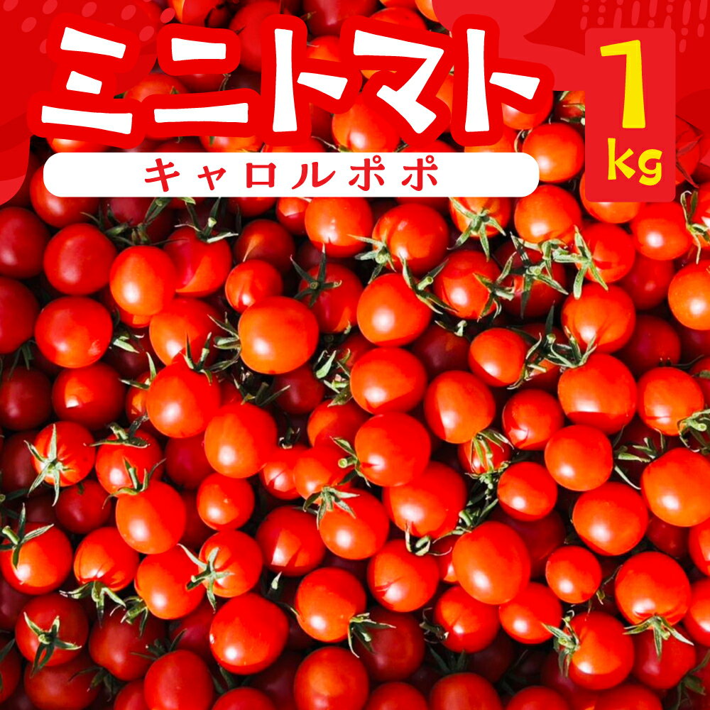 【ふるさと納税】先行予約（2026年8月上旬頃から順次発送）ミニトマト（キャロルポポ） 1kg ミニトマト 夏季限定 期間限定 限定 1キロ 飛騨 下呂 とまと トマト 新鮮 国産 野菜