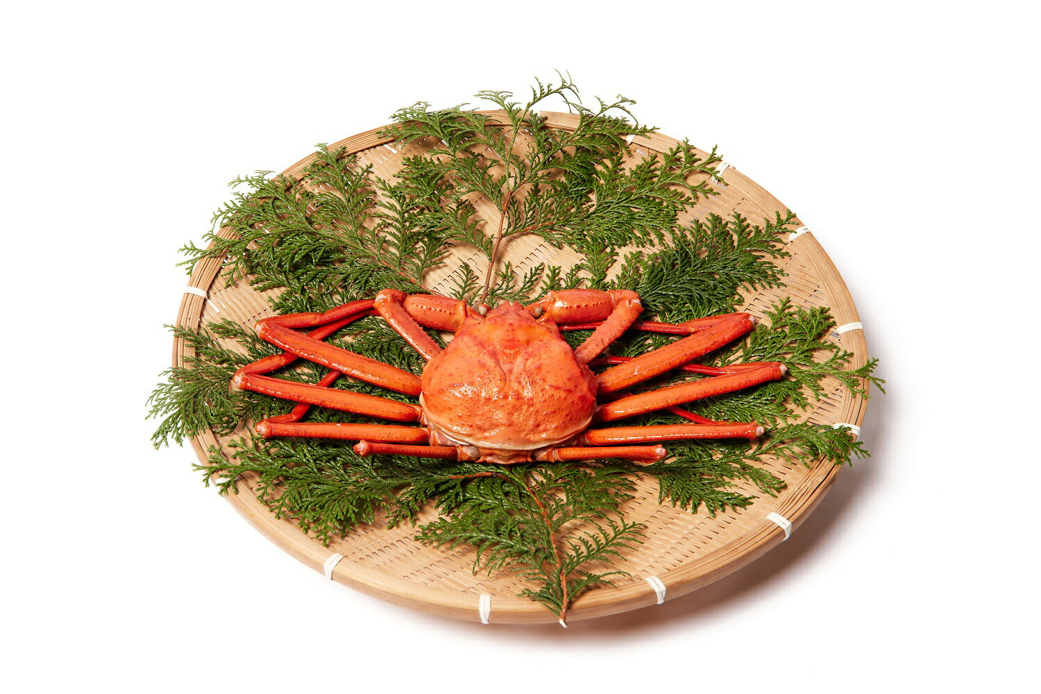 【ふるさと納税】蟹屋の釜茹で紅ずわい蟹（特大）600g～700g×1杯 冷蔵 境港産【25-023-006】【老舗「蟹専門店」株式会社マルツ】塩茹で ボイル済 かに カニ 蟹 紅ずわいがに 鍋 海鮮 海の幸 鳥取県産 鳥取県 米子市 期間限定