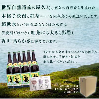 ふるさと納税 屋久島町 三岳1.8L ・6本 &amp;紅茶の詰め合わせ(3種類)