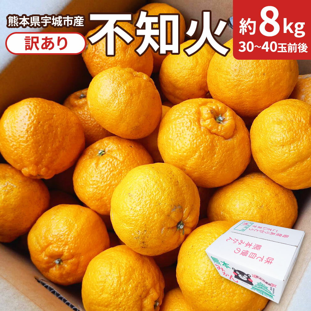 【ふるさと納税】【先行予約】 不知火 訳あり 約8kg (30〜40玉前後) 【2026年2月下旬から4月上旬発送予定】しらぬい わけあり 不揃い 柑橘 九州産 国産 宇城市産 株式会社味采市場