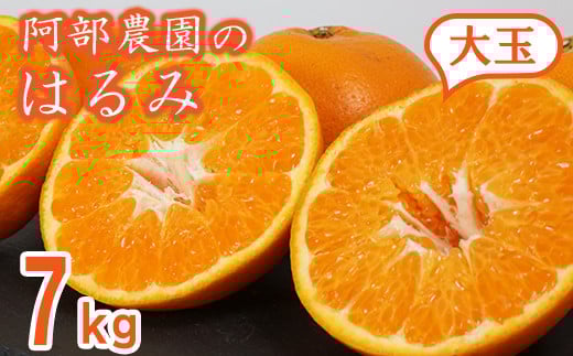 
            阿部農園の「はるみ(大玉) 約7kg」 ／ ミカン みかん 蜜柑 柑橘類 はるみ 先行予約 2月 訳あり 数量限定 フルーツ ＜112-009＞
          