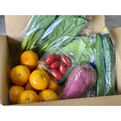 ふるさと納税 牧之原市 みかん(2kg)と採りたて野菜(5品)セット