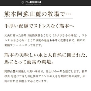 【熊本と畜】ふじ馬刺し 人気3種詰合せ（大トロ・中トロ・上赤身各80g）