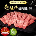 【ふるさと納税】【全6回定期便】 壱岐牛 焼肉用 バラ（カルビ）500g《壱岐市》【株式会社イチヤマ】[JFE034] 冷凍配送 黒毛和牛 A5ランク 定期便 赤身 肉 牛肉 焼肉 焼き肉 バラ カルビ BBQ 174000 174000円