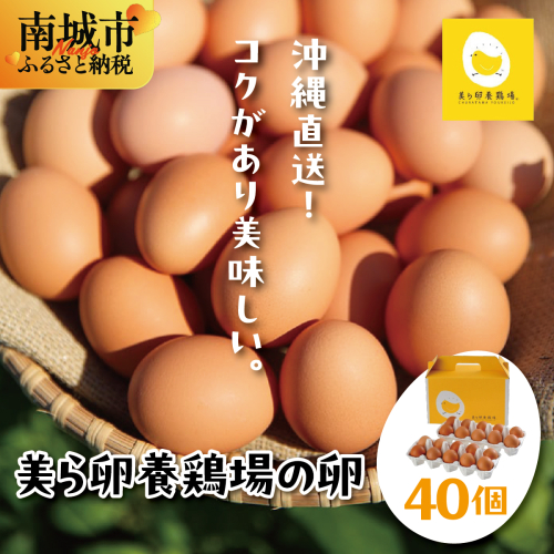 卵の黄身が掴めるほどの新鮮さ 美ら卵養鶏場の卵 40個【順次配送】   I  たまご タマゴ  卵 美ら卵 養鶏場 美ら卵 新鮮  養鶏場  40個   沖縄県 南城市 ふるさと納税 有限会社 美ら卵養鶏場