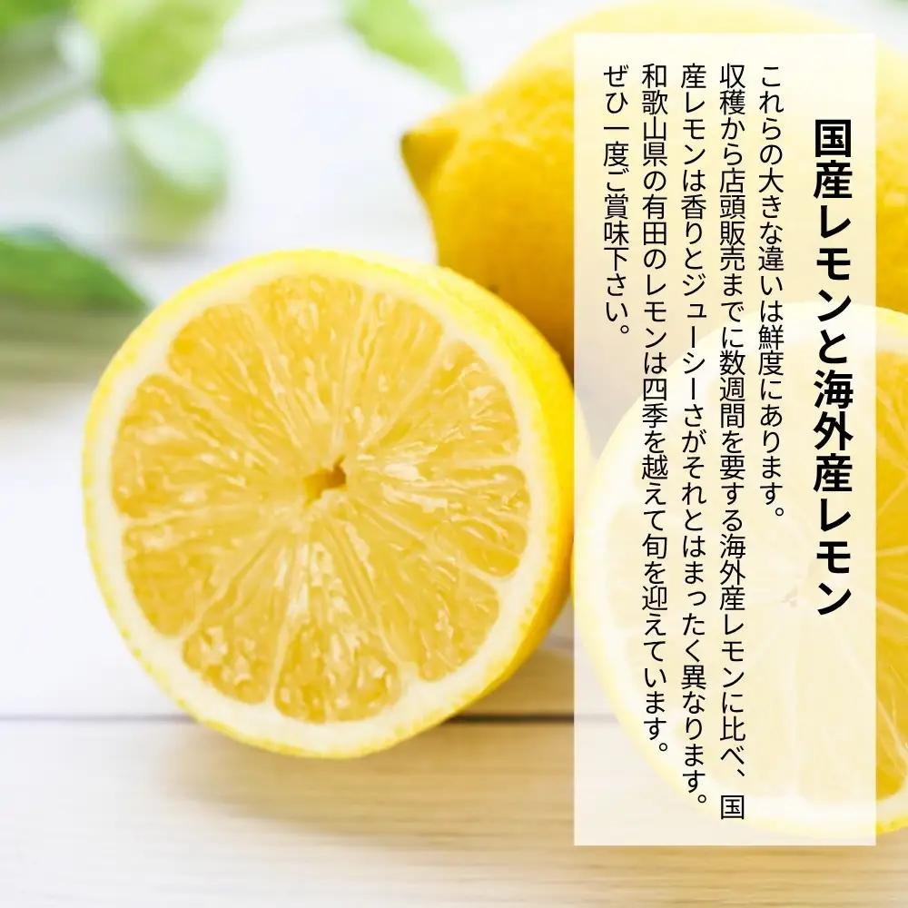 レモン 中玉 国産 箱込2.5kg(内容量約2.3kg) 秀品 L 2L 3L サイズミックス 和歌山県有田産 【みかんの会】