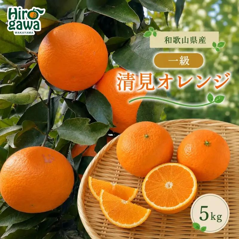 清見 一級品 5kg / 和歌山 有田 広川 清見 オレンジ きよみ 柑橘 果物 くだもの ギフト フルーツ 果実 ※2027年3月上旬～3月下旬頃に順次発送予定【hkt011-p-5A】
