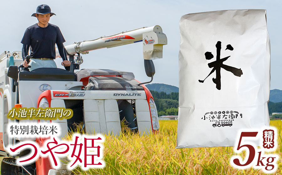 
            数量限定 【令和7年産先行予約】 山形県庄内産 小池半左衛門のお米 特別栽培米 つや姫 精米 5kg (5kg×1袋)
          