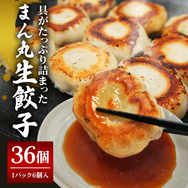 【ふるさと納税】まん丸生餃子冷凍30g×36個入り（1pac 6個入り）餃子 生餃子 国産豚肉 焼餃子 ぎょうざ ギョウザ ギョーザ 冷凍餃子 小分け お取り寄せ 惣菜 中華惣菜 点心 中華 惣菜 中華料理 飲茶 おかず おつまみ 【そうざい男しゃく（株式会社池延）】 【ho1438】