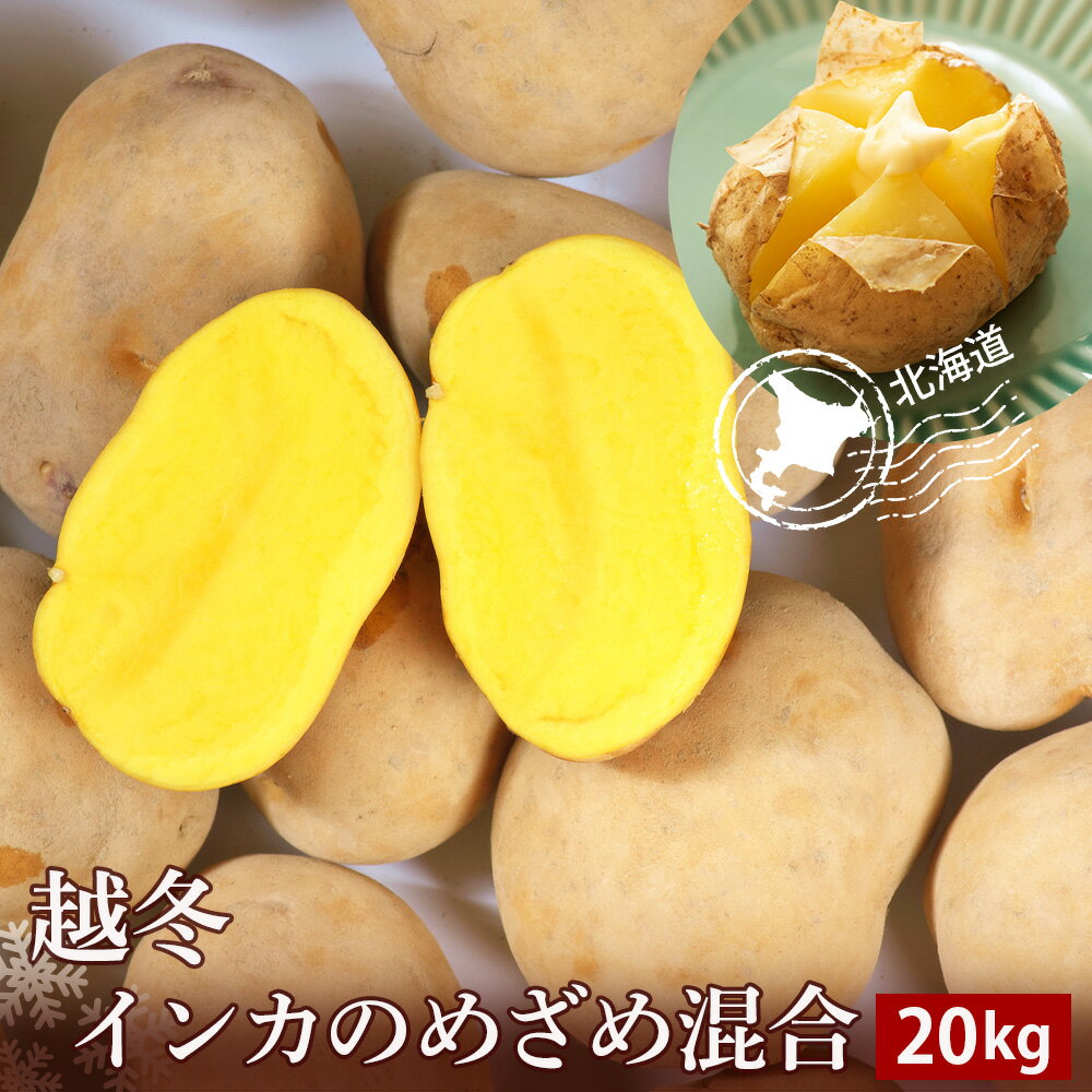 【ふるさと納税】 越冬インカのめざめ混合 20kg北海道ふるさと納税 ふるさと納税 北海道 野菜 千歳市 グルメ 野菜 イモ ジャガイモ インカのめざめ【北海道千歳市】ギフト ふるさと納税