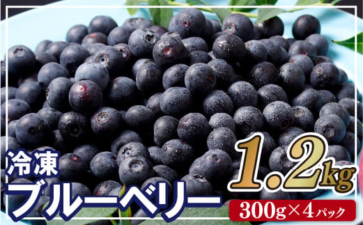 
                  【 先行受付 】 ブルーベリー  ｢ あいあいの雫 ｣  1.2kg  ( 300g × 4P )  産地直送 国産 冷凍 小分け 大粒 果物 ベリー フルーツ 健康 食品 おやつ 加工 お菓子 製菓 アイス シャーベット ジャム ソース スムージー におすすめ 長崎県 佐世保市
                