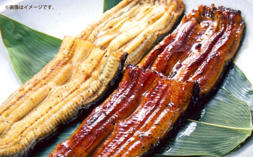 めぐみうなぎ 堪能うなぎづくし セット 【 蒲焼 × 4 ／ 白焼き × 2 ／ 肝 × 2 】 うなぎ 鰻 ウナギ 魚類 うな重 うな丼 晩ごはん 惣菜 おかず 贅沢 冷凍 国産 大阪府産 養殖 無投薬 【 2026年6月下旬～7月上旬発送予定 】