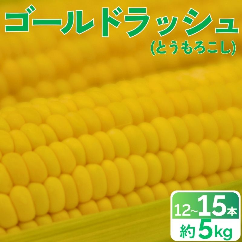 とうもろこし 甘い スイートコーン ゴールドラッシュ 約 5kg 12000円 12 本 ～ 15 本 L ～ 2L サイズ  トウモロコシ コーン 冷蔵 クール便 産地直送 国産 農家直送 期間限定 数量限定 冷蔵 人気 贈答 プレゼント ギフト 土産 お取り寄せ ギフト お中元 愛媛県 愛南町 愛なんよ 