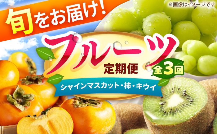 
                  【3回定期便】フルーツ定期便（シャインマスカット/柿/キウイ） 広川町 / JAふくおか八女農産物直売所どろや [AFAB127]
                